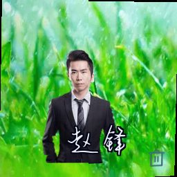 赵锋